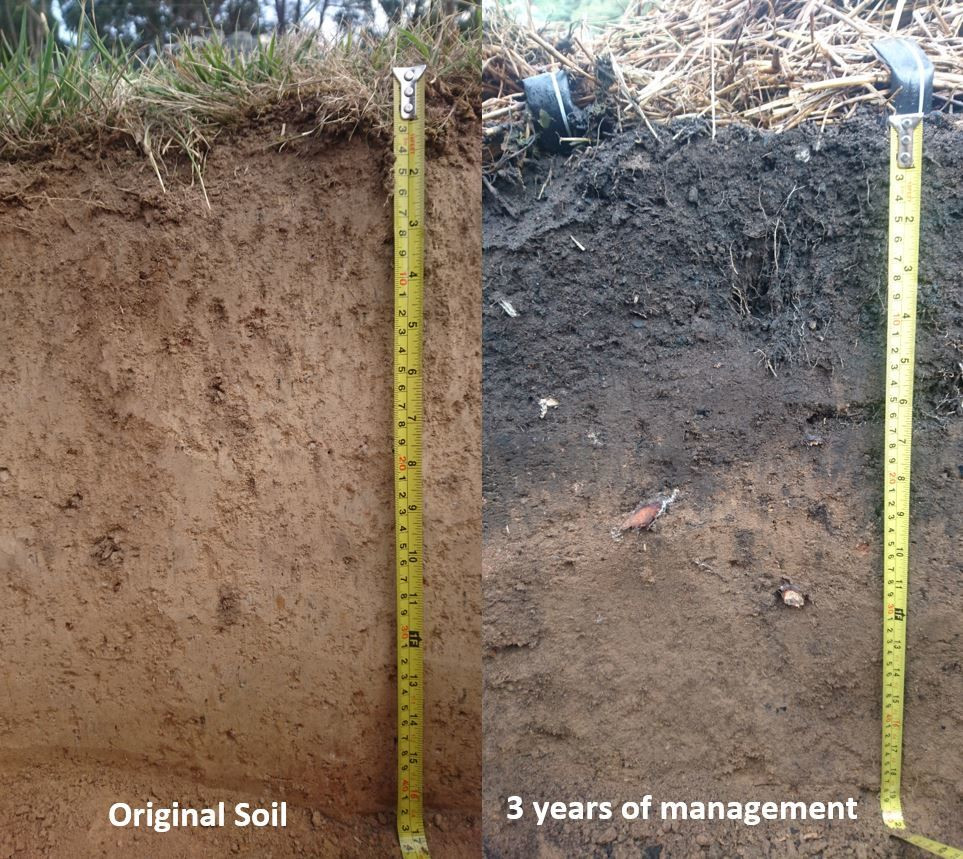 Soil-Profiles-5f7a8544f37f3.jpg